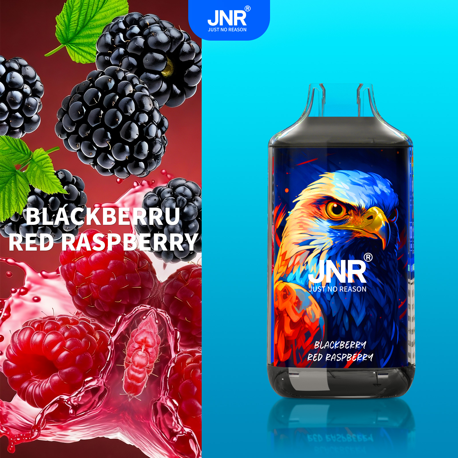 1.Blackberry Red Raspberry-01KHD58825P07489SR0VBPXQZB.jpg